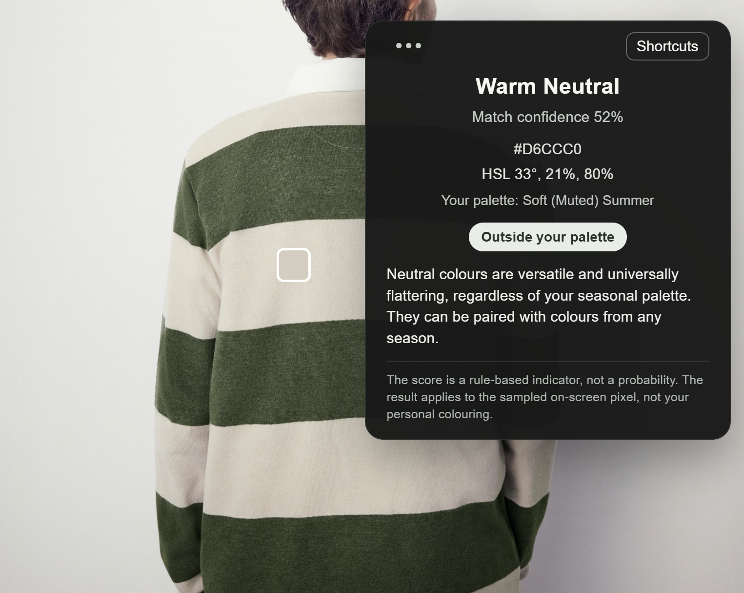 Mindfully Fashionable Pro classifying a neutral jumper colour
